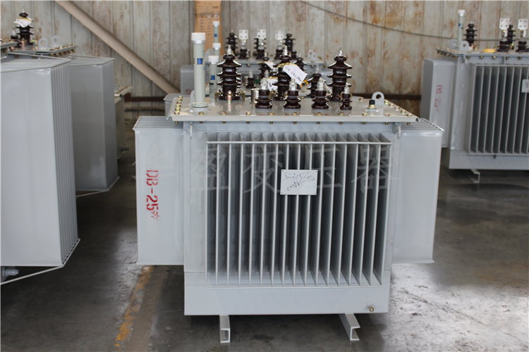 石家庄S20-800kVA/10kV/0.4kV变压器
